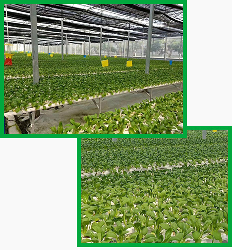 信譽(yù)保證 長(zhǎng)久合作